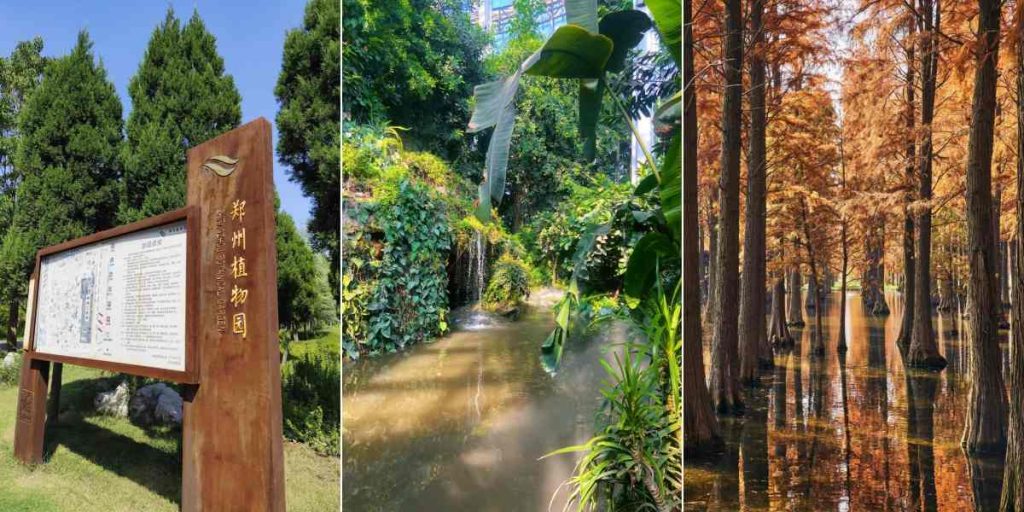 One Day in Zhengzhou: Perfect 24-Hour Itinerary for First-Time Visitors (2026)